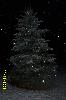 DCP_0112.JPG