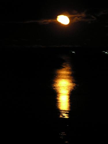 P1010200.JPG