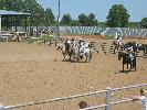 IMG_1437.JPG