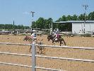 IMG_1458.JPG