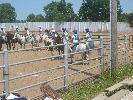 IMG_1530.JPG