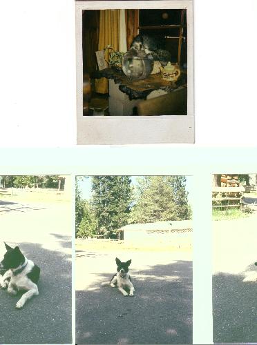 Scan10068.JPG