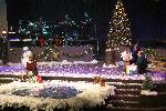 IMG_6236.jpg