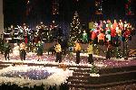 IMG_6250.jpg