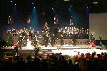 IMG_6294.jpg