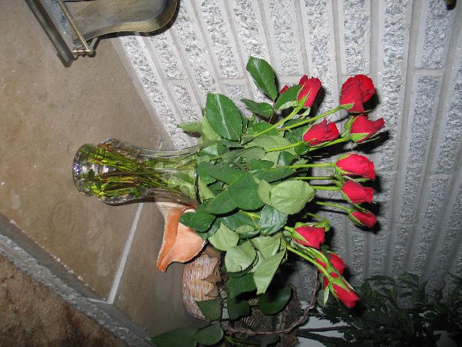 IMG_3320.JPG
