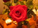 IMG_3334.JPG
