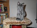 IMG_6074.JPG