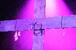 IMG_0272.jpg