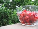 IMG_5205.JPG