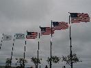 IMG_6451.JPG
