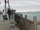 IMG_6465.JPG