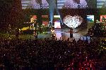 _MG_8275.jpg