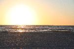 IMG_7979.JPG