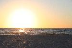 IMG_7980.JPG