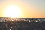 IMG_7983.JPG
