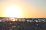 IMG_7984.JPG