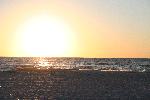 IMG_7985.JPG