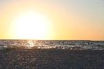 IMG_7986.JPG