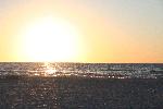 IMG_7987.JPG