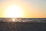 IMG_7988.JPG