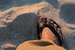 IMG_7994.JPG