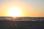IMG_7995.JPG