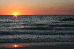 IMG_8029.JPG