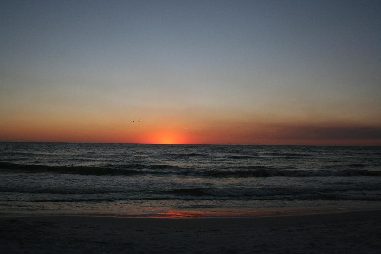 IMG_8041.JPG