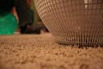 IMG_7916.JPG