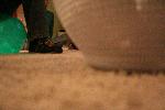 IMG_7917.JPG