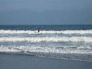 IMG_1317.JPG