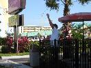 IMG_1328.JPG
