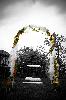 DSC_4958-Edit.jpg