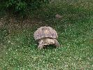 DSCN0403.JPG