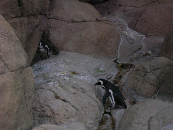 DSCN0410.JPG