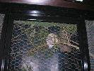 DSCN0413.JPG