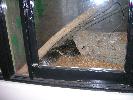DSCN0415.JPG