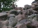 DSCN0417.JPG