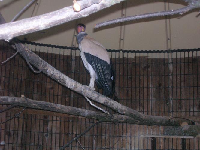 DSCN0418.JPG