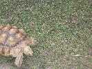 IMG_5993.JPG
