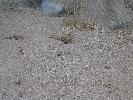 IMG_5994.JPG