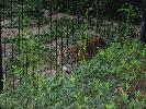 IMG_6018.JPG