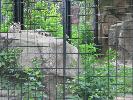 IMG_6026.JPG