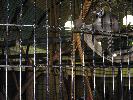 IMG_6040.JPG