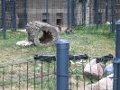 IMG_6064.JPG