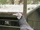 IMG_0416.JPG