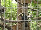 IMG_0436.JPG