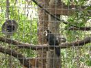 IMG_0437.JPG