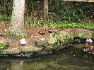IMG_0453.JPG